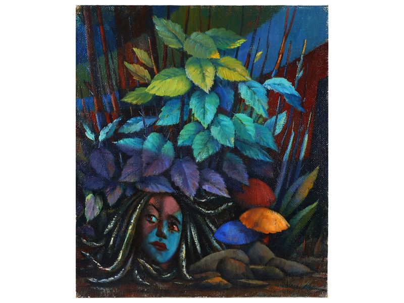 Dyalma Stultus - La Medusa 1970