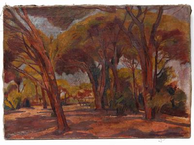 Viareggio in Pineta 1928