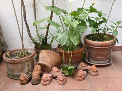 Assortimento di Accessori da Giardino
