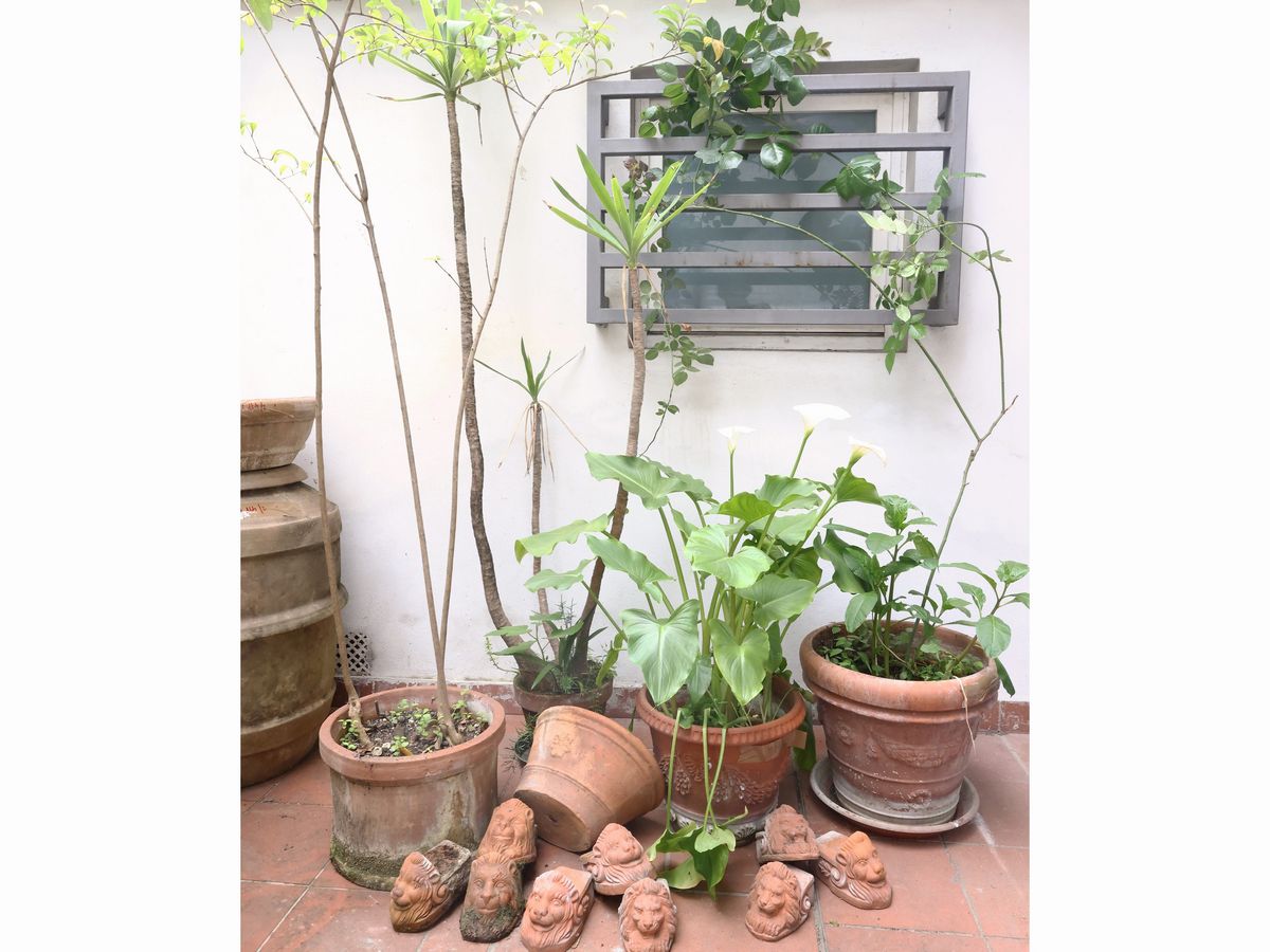 Assortimento di Accessori da Giardino
