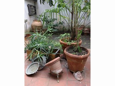 Lotto di Accessori da Giardino