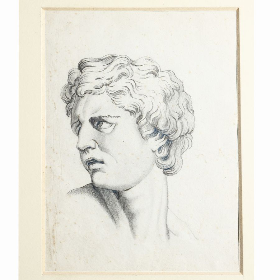 Lotto di Disegni
