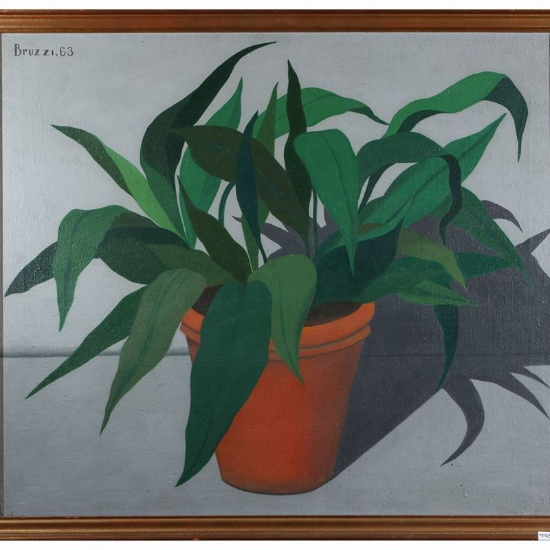 Giovanni Bruzzi - Pianta 1963