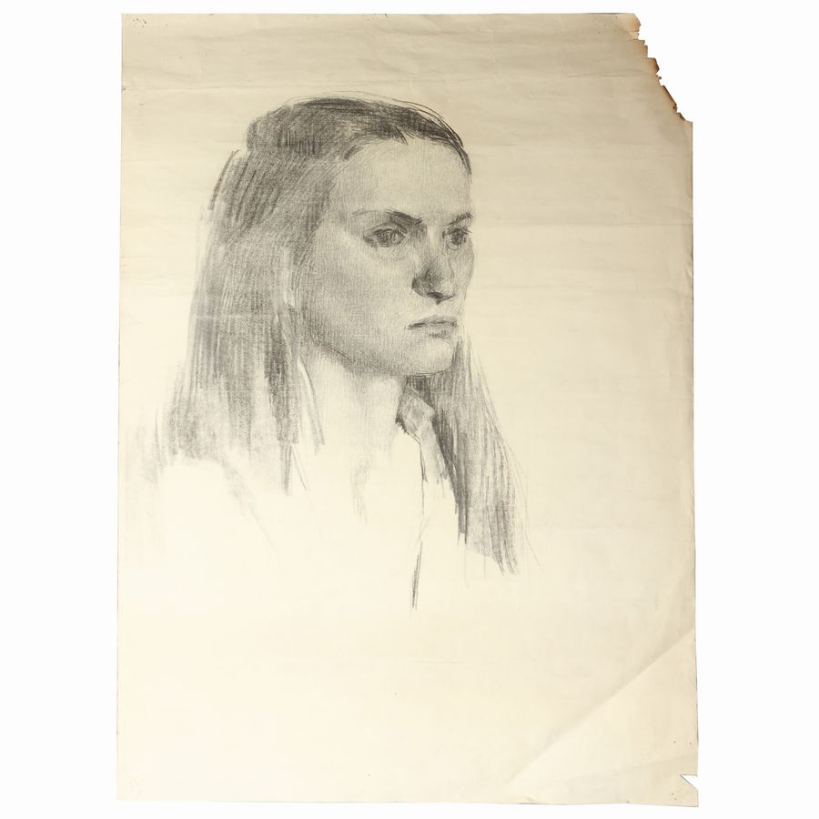 Raccolta di Disegni