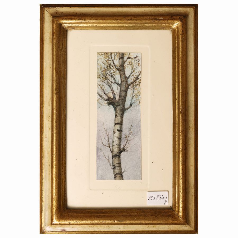 Albero - Paesaggio 1957