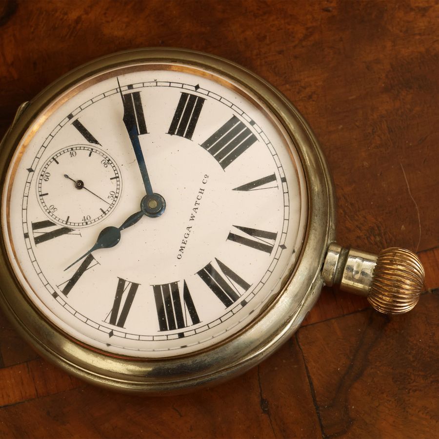 Orologio Omega Watch in Metallo