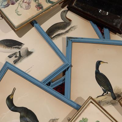 Lotto di Complementi di Arredo