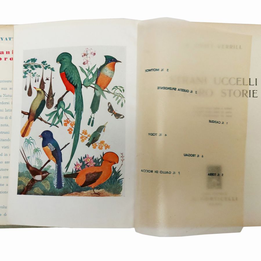 Miscellanea di Libri D'arte: Natura