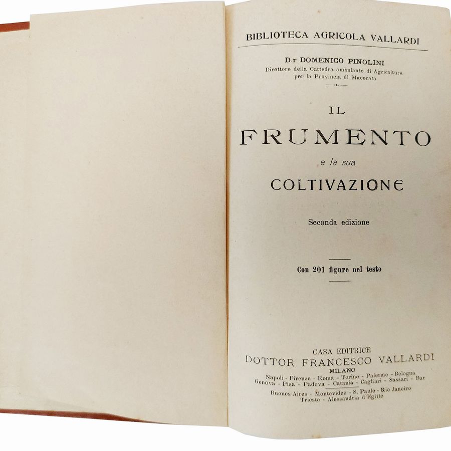 Miscellanea di Libri D'arte: Natura