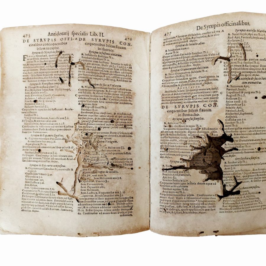 Johann Jacob Wecker - Antidotarium Generale Et Speciale: Ex Opt. Authorum ...
