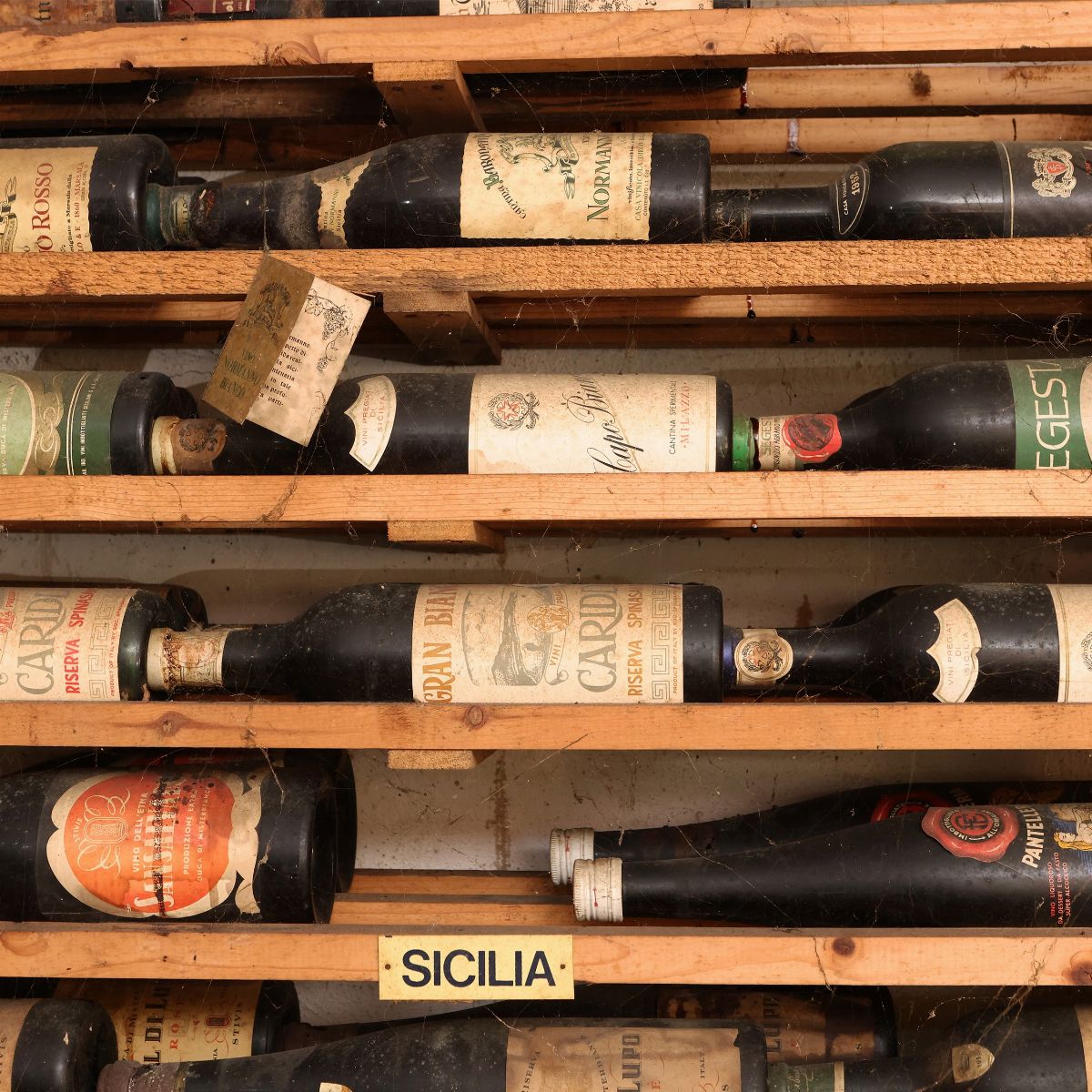 Assortimento di Vini Sicilia, Puglia, Lucania e Campania
