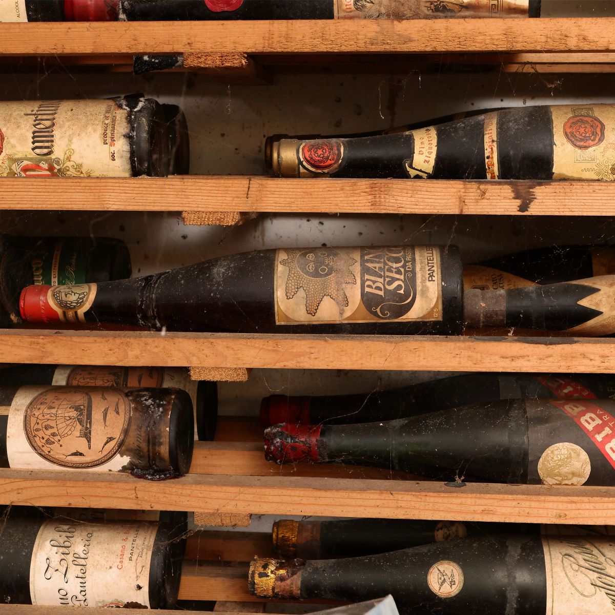 Assortimento di Vini Sicilia, Puglia, Lucania e Campania