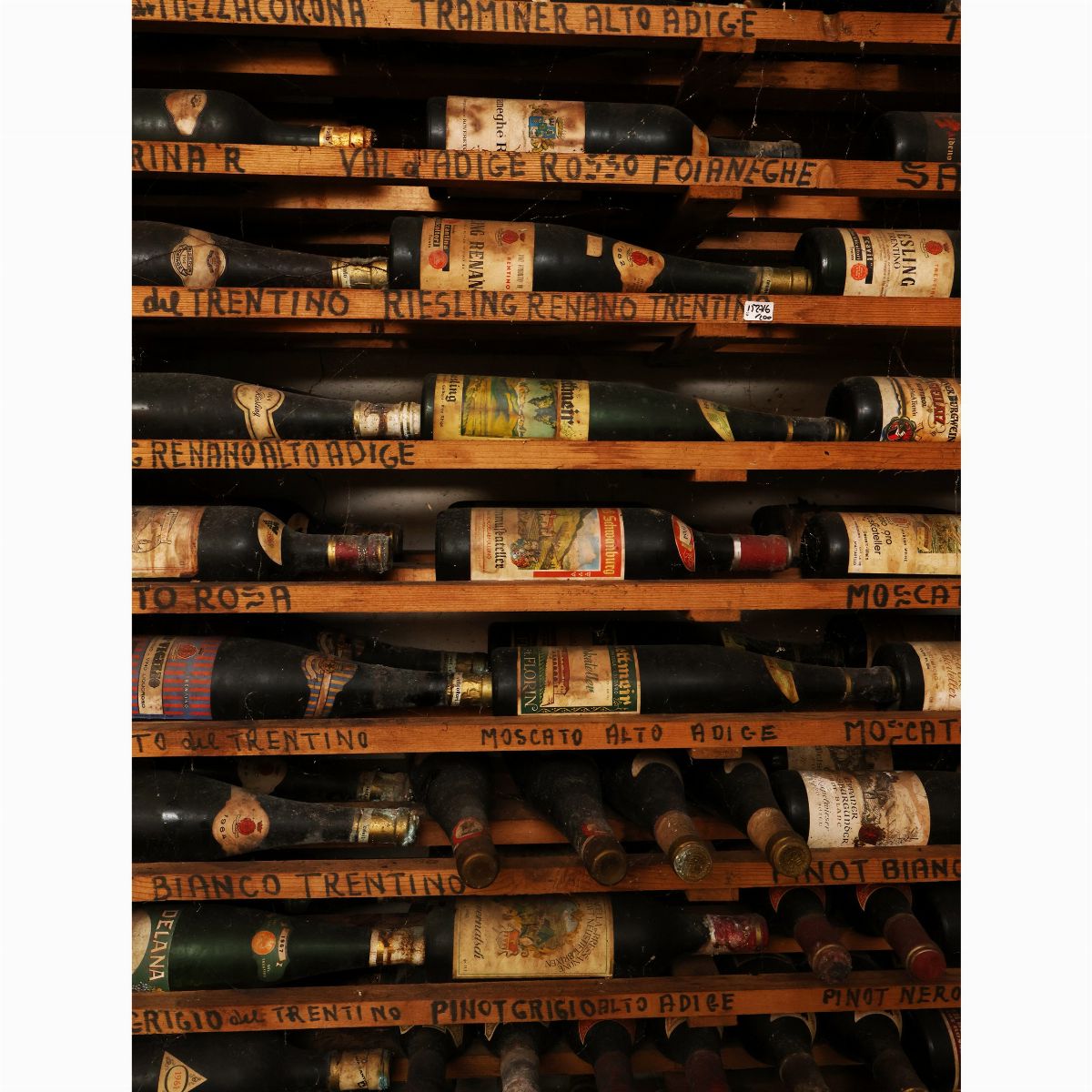 Assortimento di Vini Alto Adige, Trentino, Veneto, Friuli