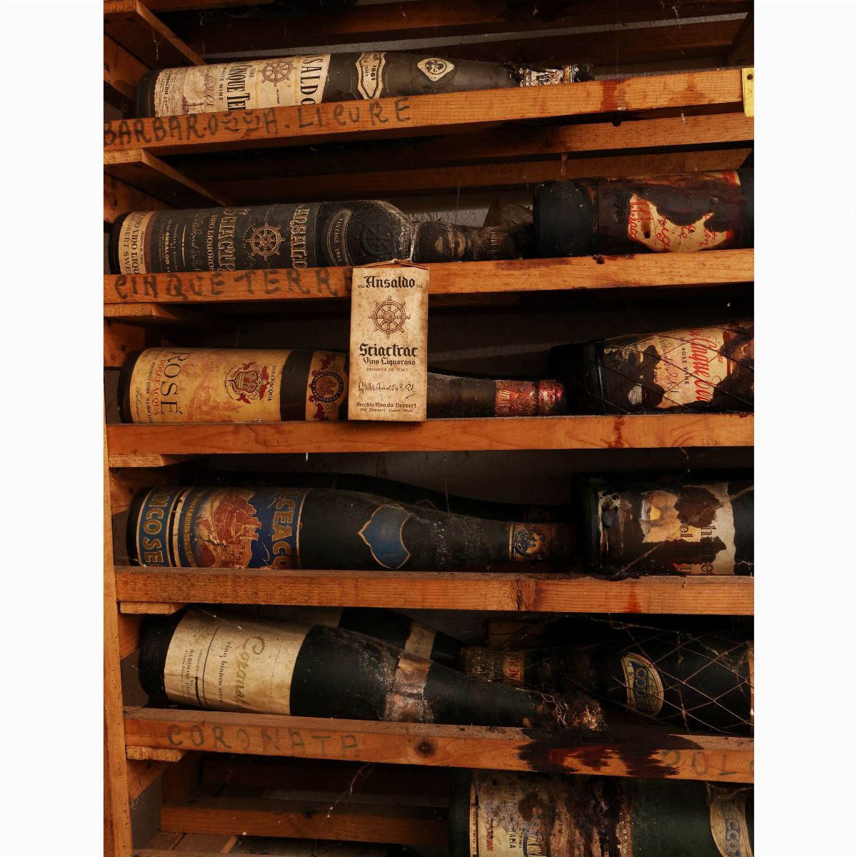 Assortimento di Vini Liguria, Lazio, Abruzzo e Molise