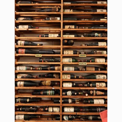 Assortimento di Vini Emilia, Umbria, Marche, Calabria e Sardegna