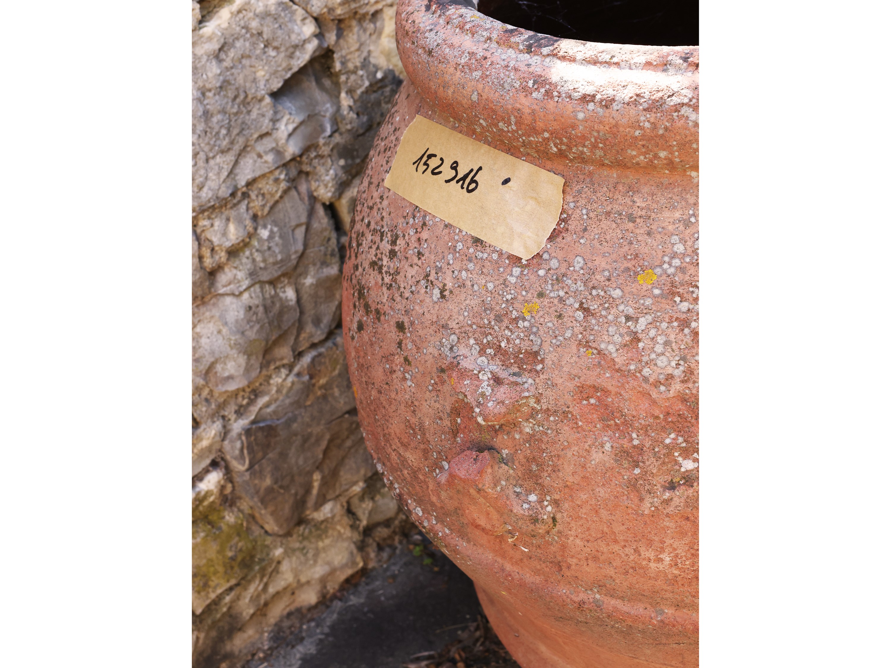 Orcio in Terracotta, Emilio Ricceri