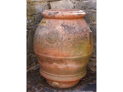Orcio in Terracotta, Vittorio Vanni