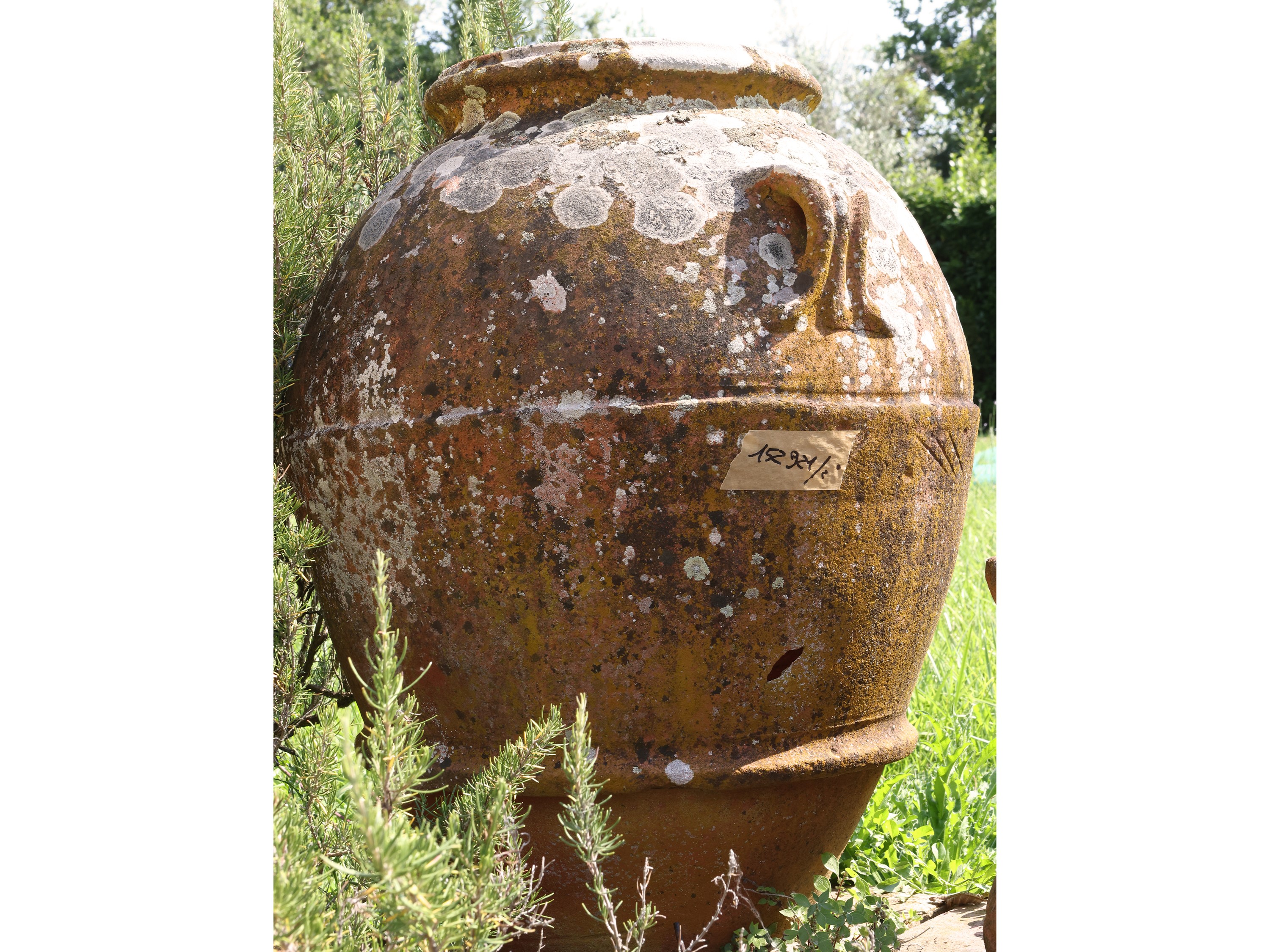 Orcio in Terracotta