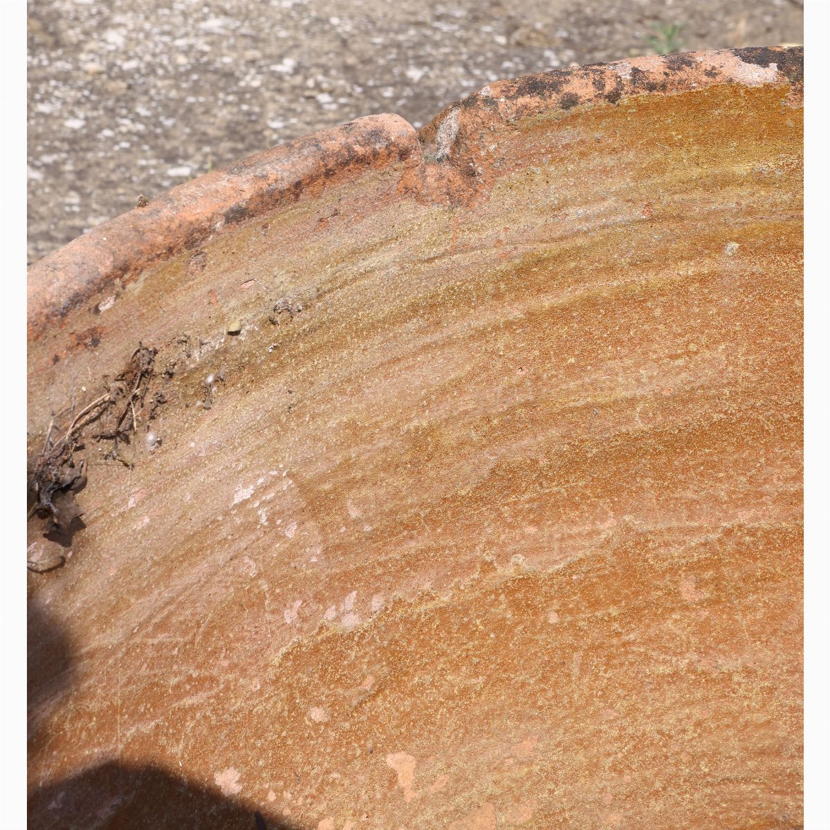Grande Conca D'epoca in Terra di Galestro