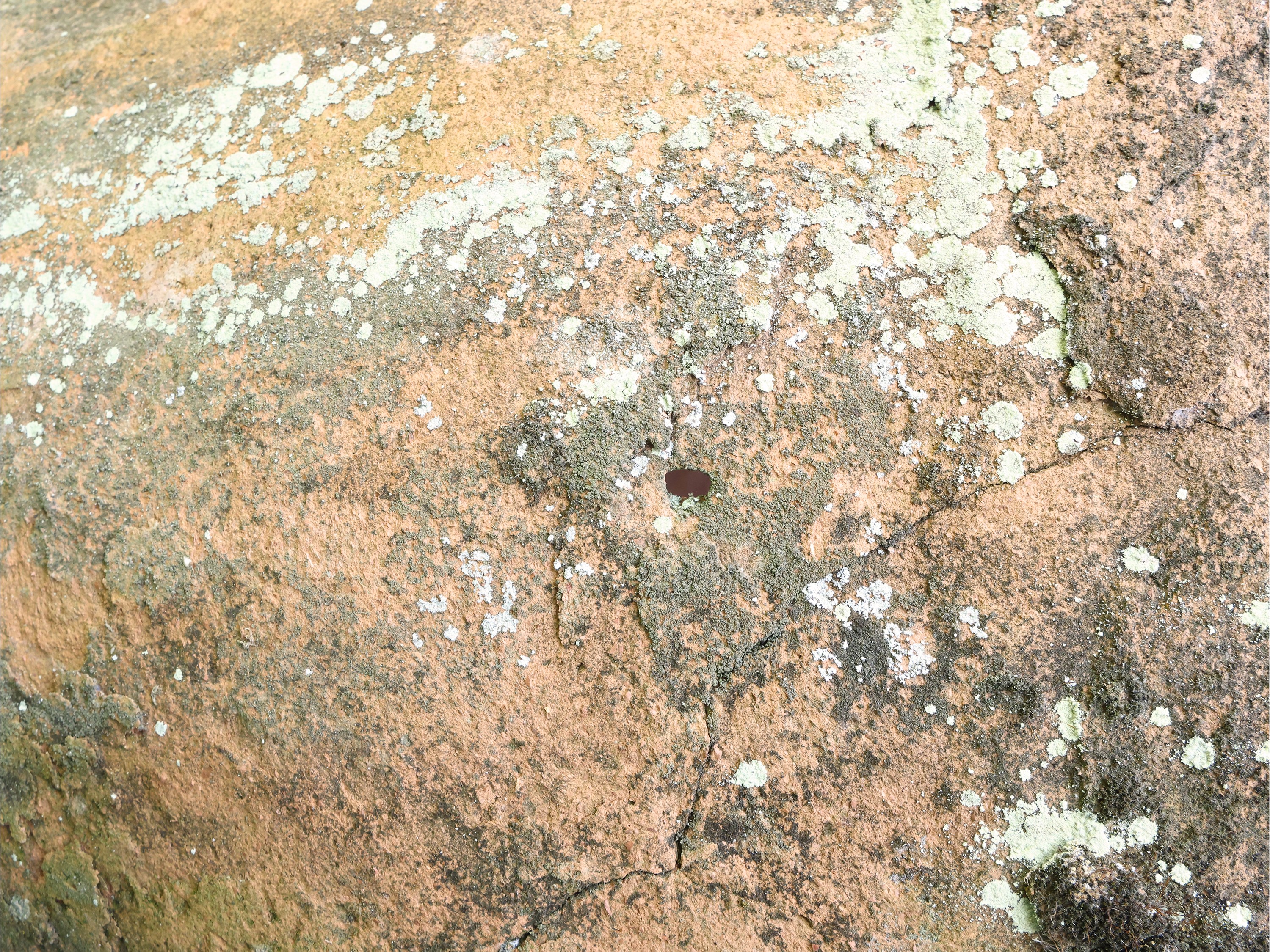 Grande Orcio in Terracotta