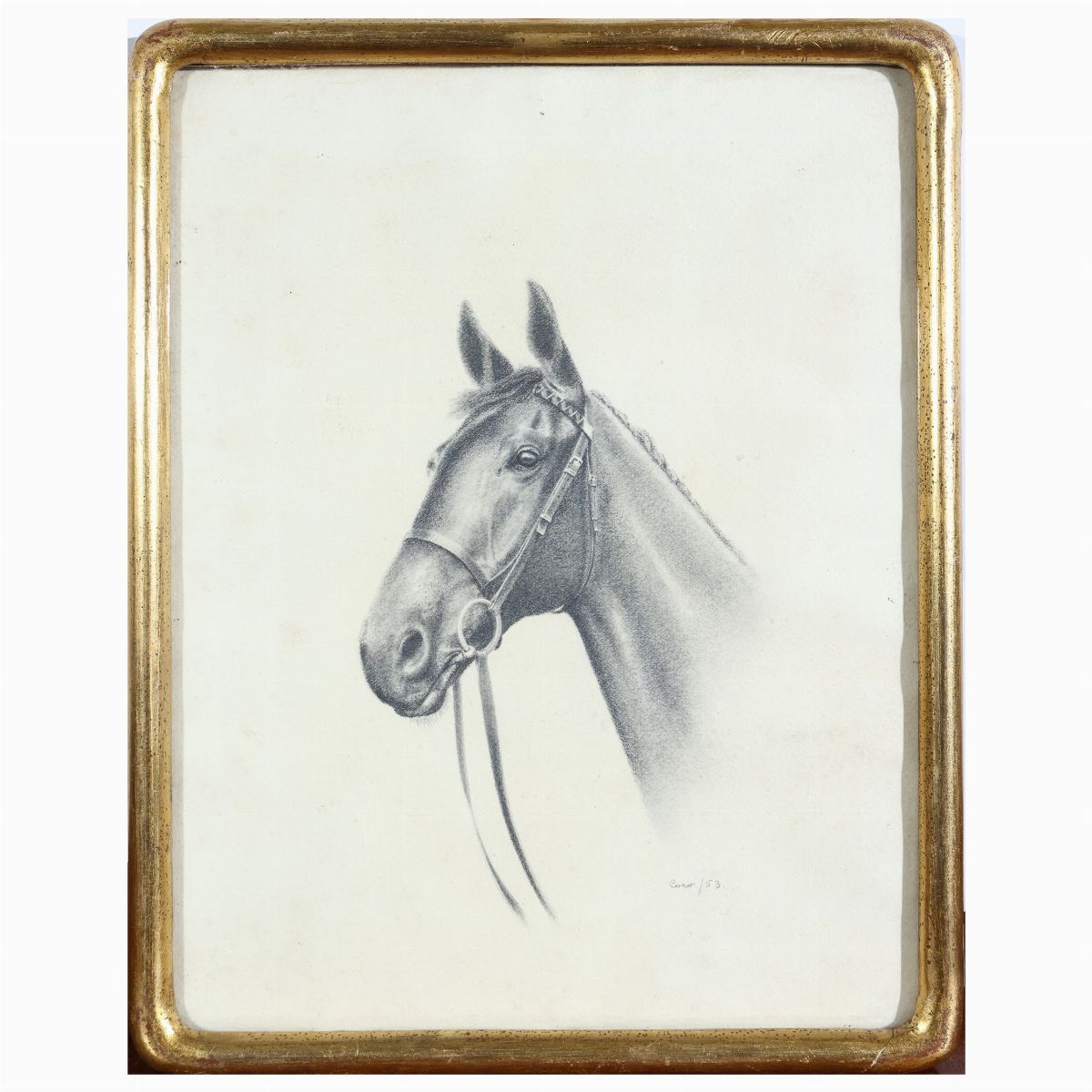 Lotto di Disegni