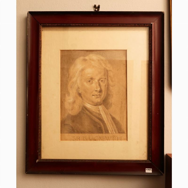 Ritratto di Newton