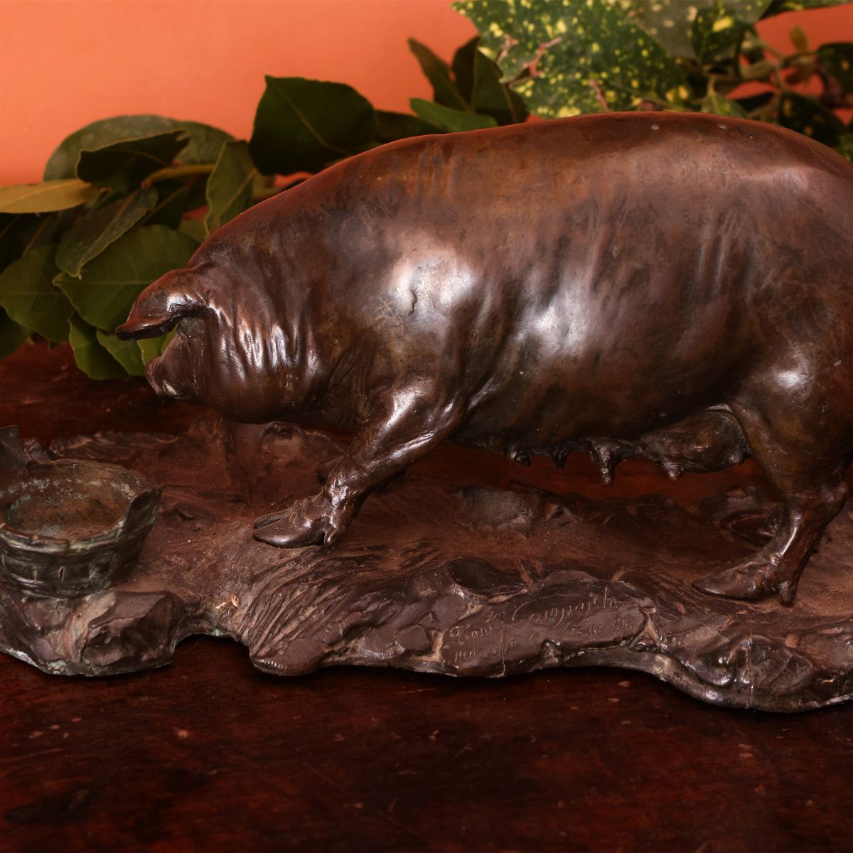 Tommaso Campajola - Scrofa