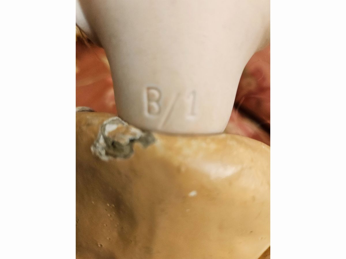 Bebè Caractère con Testa in Biscuit