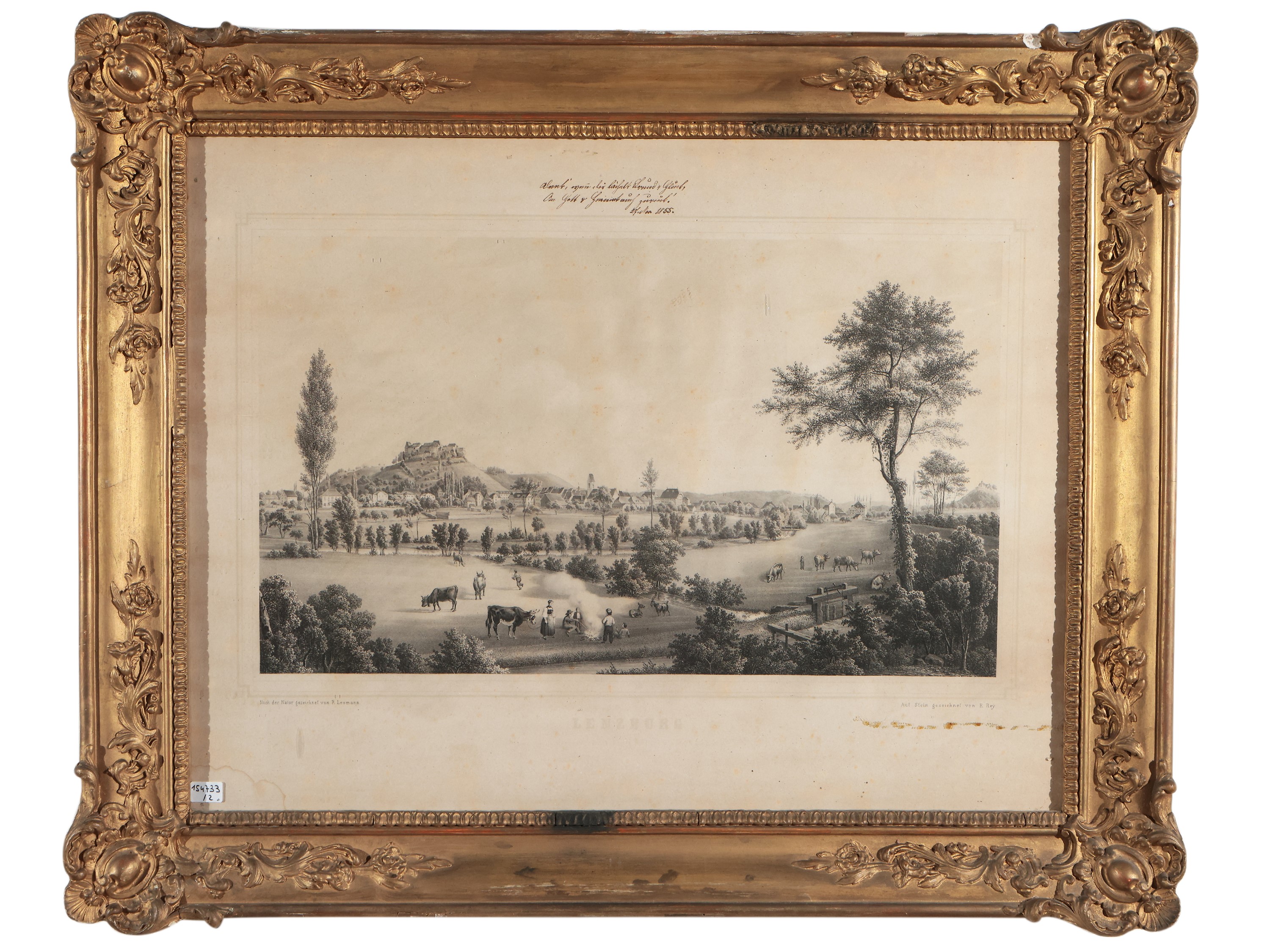 Veduta di Lenzbourg / Paesaggio Campestre