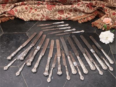 Miscellanea di Coltelli con Manici Rivestiti in Argento