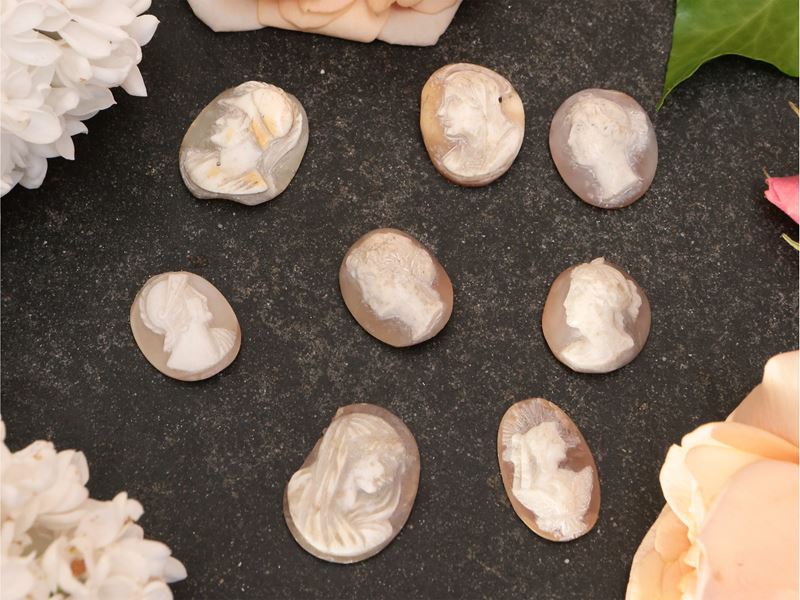 Raccolta di Otto Piccoli Cammei in Conchiglia