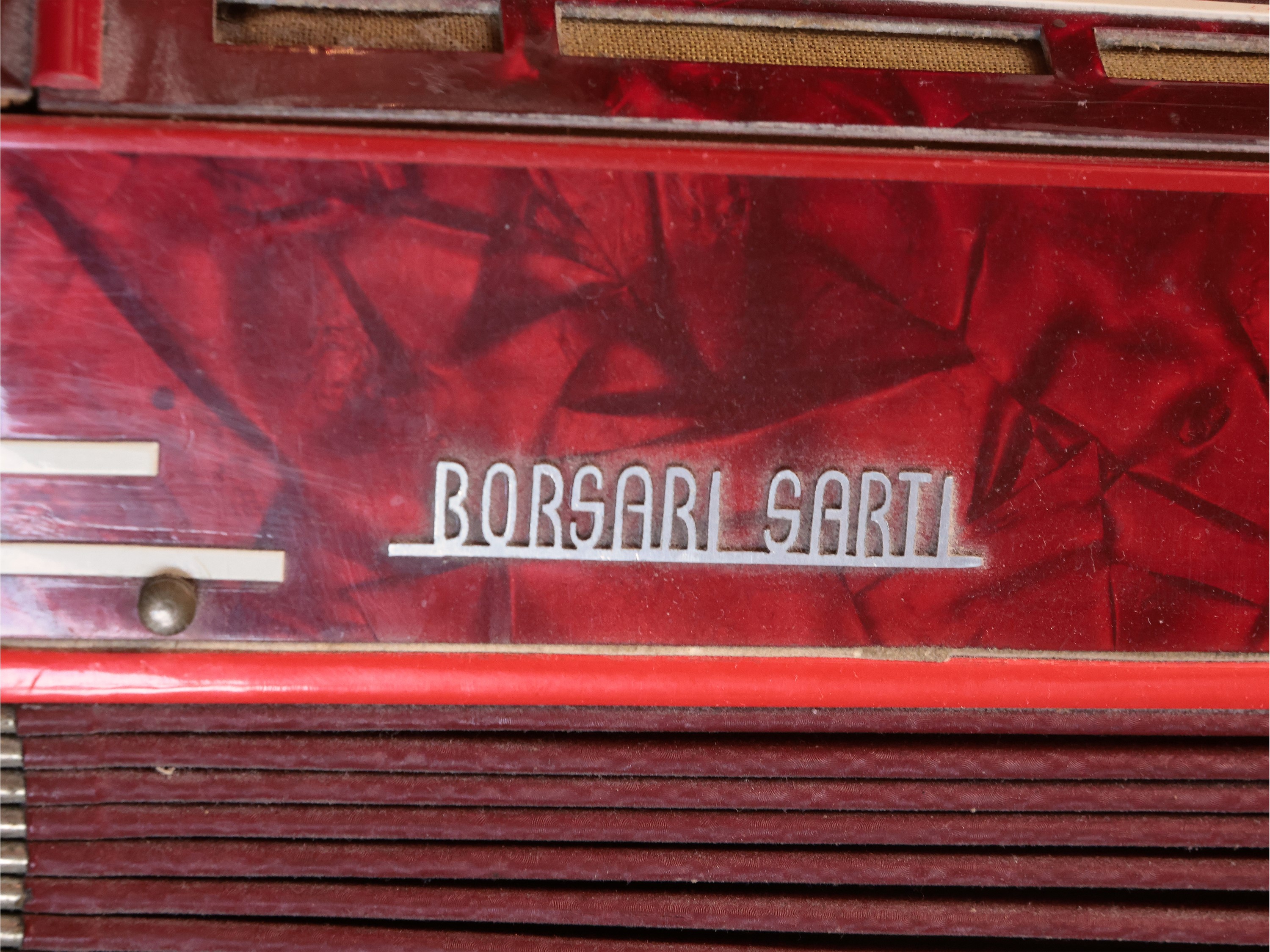 Fisarmonica, Paolo Soprani