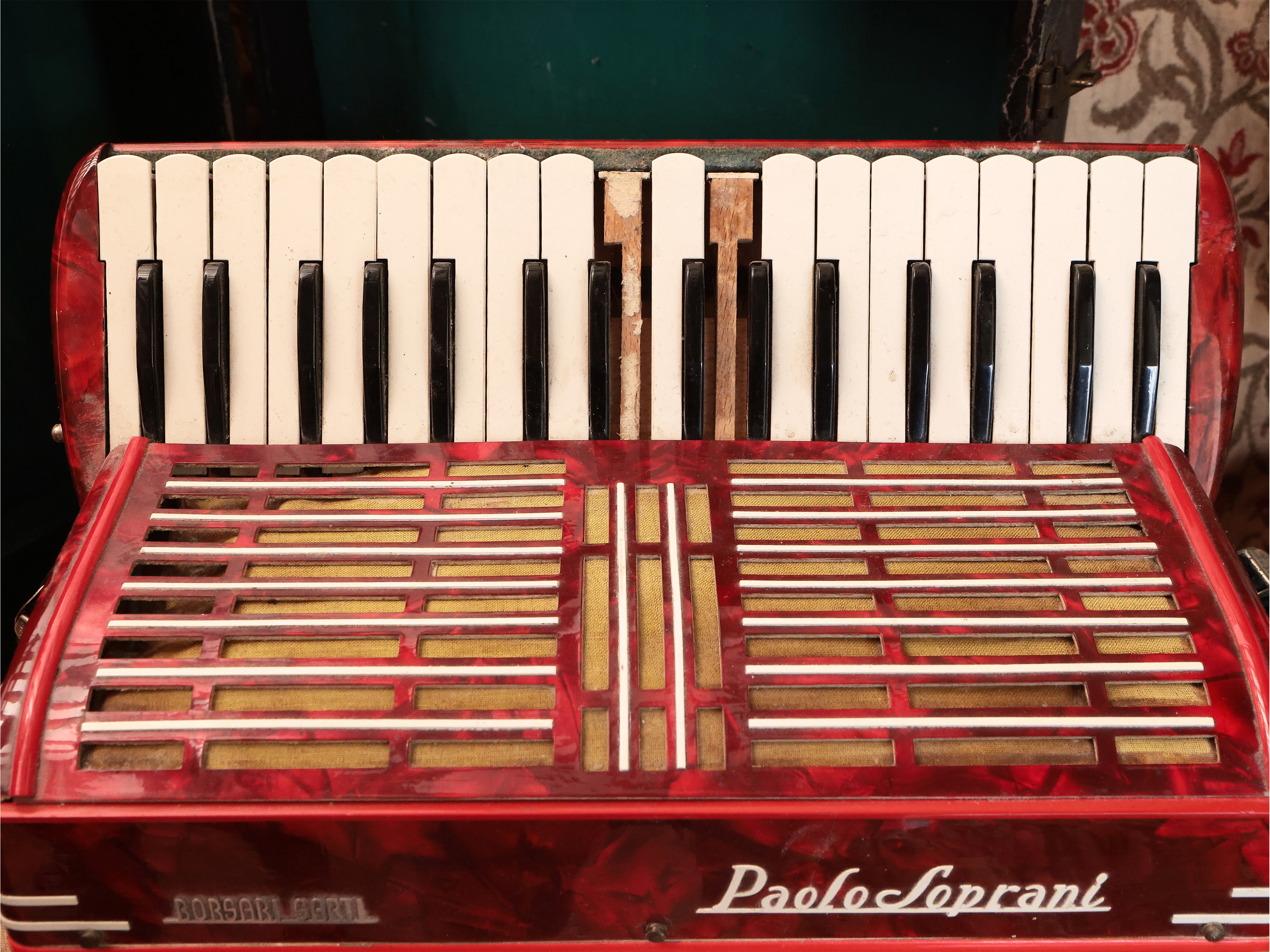Fisarmonica, Paolo Soprani