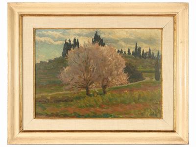Lotto di Dipinti
