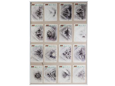 Raccolta di Disegni