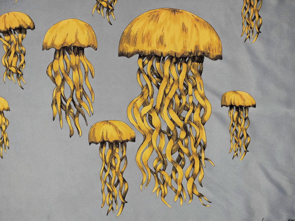 Fornasetti, Foulard in Seta