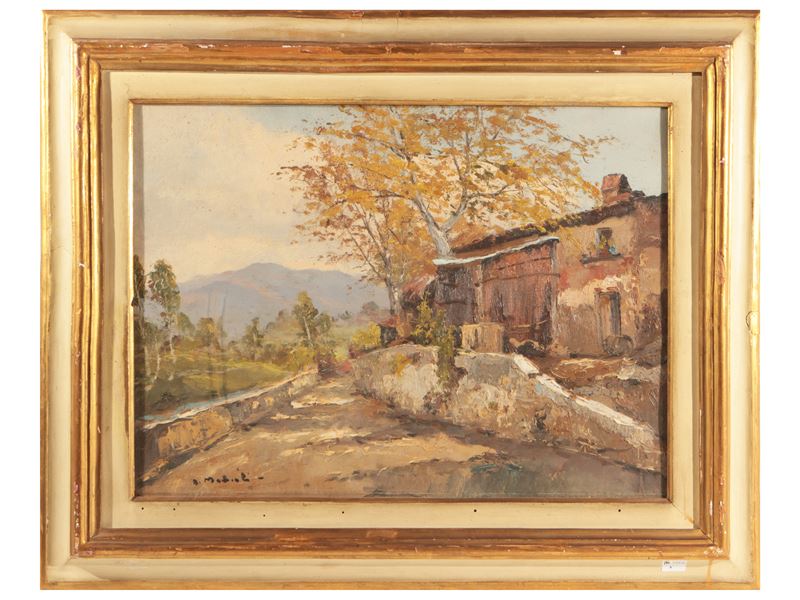 Paesaggio di campagna Anni Cinquanta