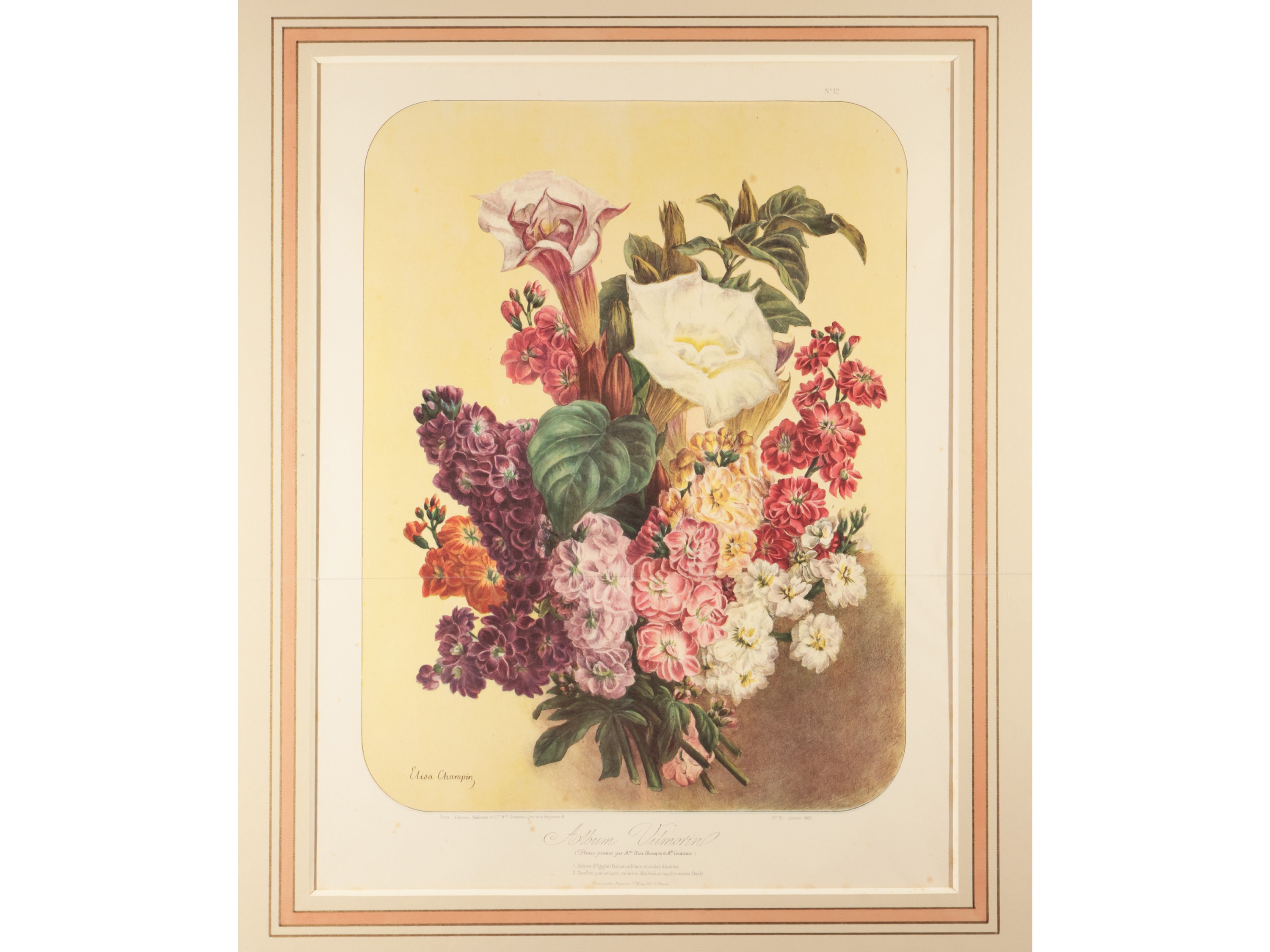 Fiori