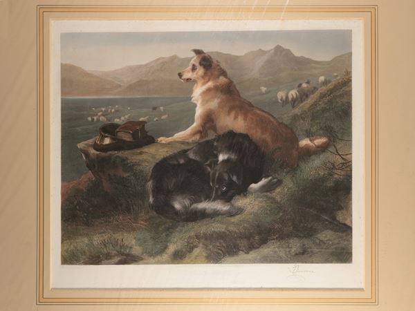 Colly dogs  (XIX secolo)  - Asta Una collezione di stampe - parte I - Maison Bibelot - Casa d'Aste Firenze - Milano