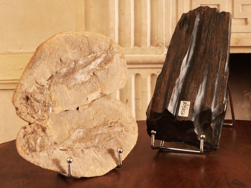 Tre Fossili
