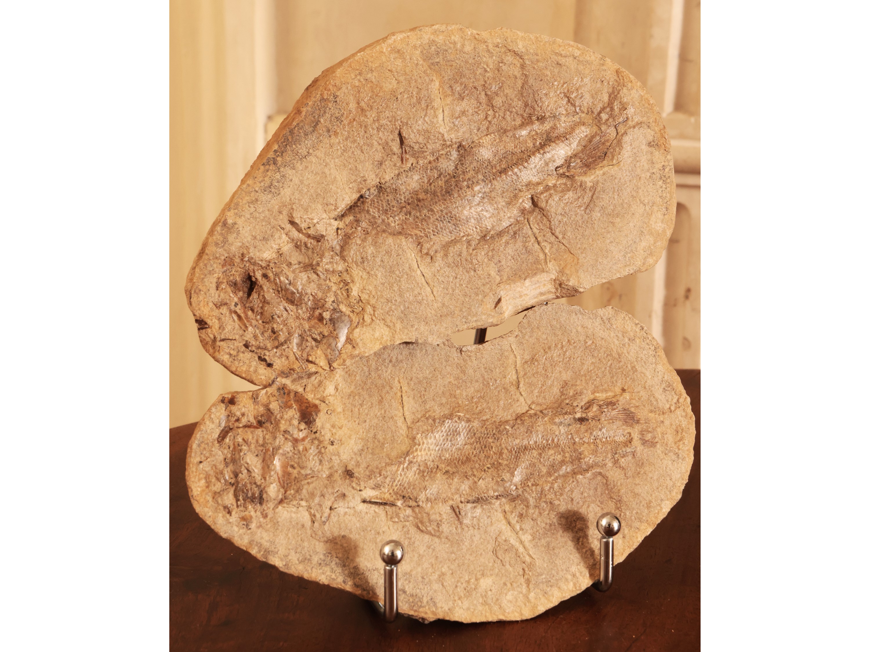 Tre Fossili