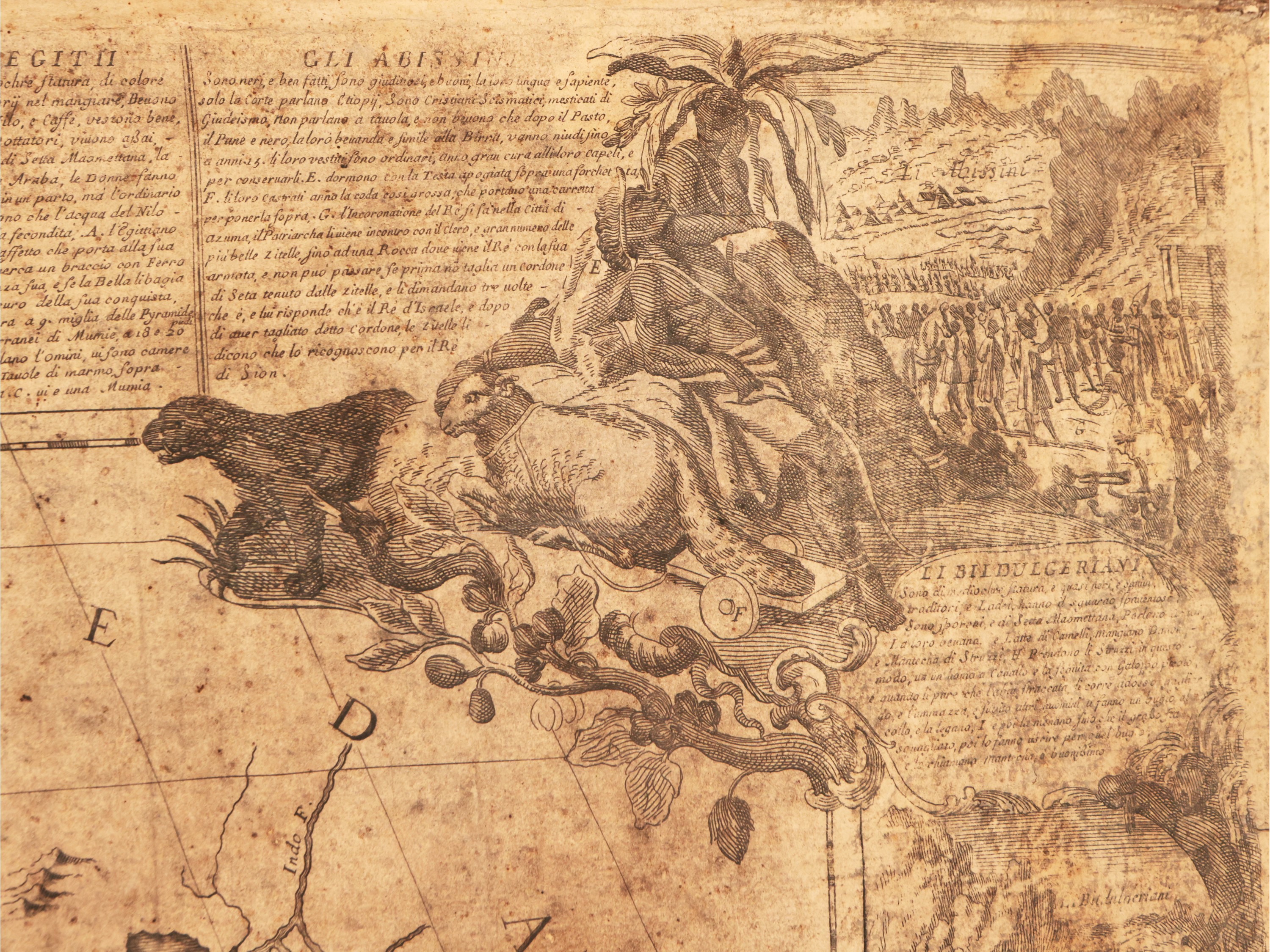 Paolo Petrini - L'africa Dedicata All'illustrissimo Principe Carmine Niccolò Caracciolo [...], Na...