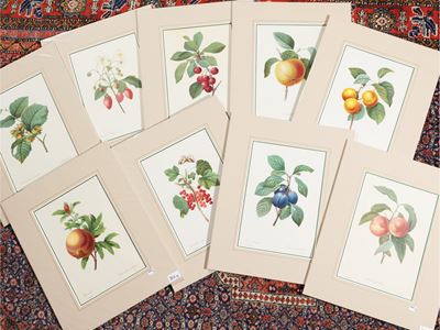 Frutti