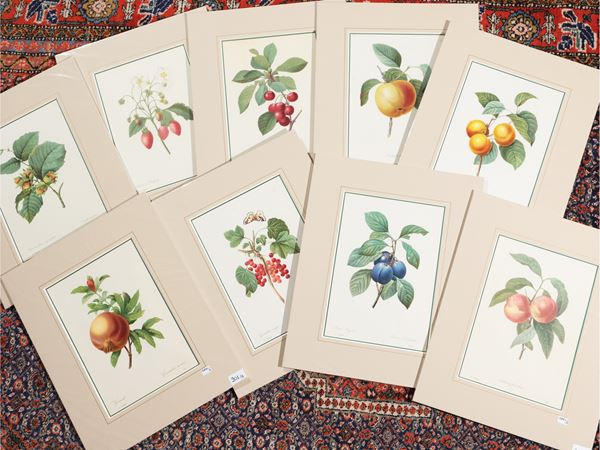 Pierre Joseph Redoute&#180; : Fruits  - Auction A print collection - II part - Maison Bibelot - Casa d'Aste Firenze - Milano