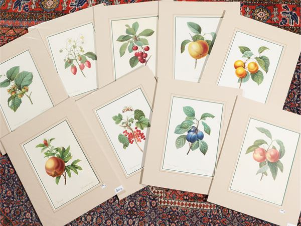 Pierre Joseph Redoute&#180; - Frutti