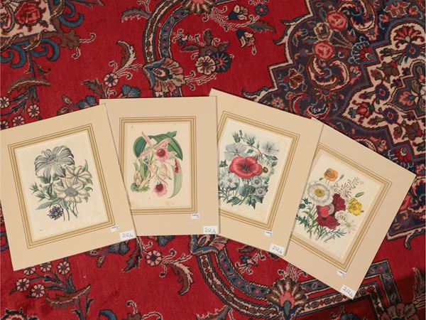 Flowers  (nineteenth century)  - Auction A print collection - II part - Maison Bibelot - Casa d'Aste Firenze - Milano