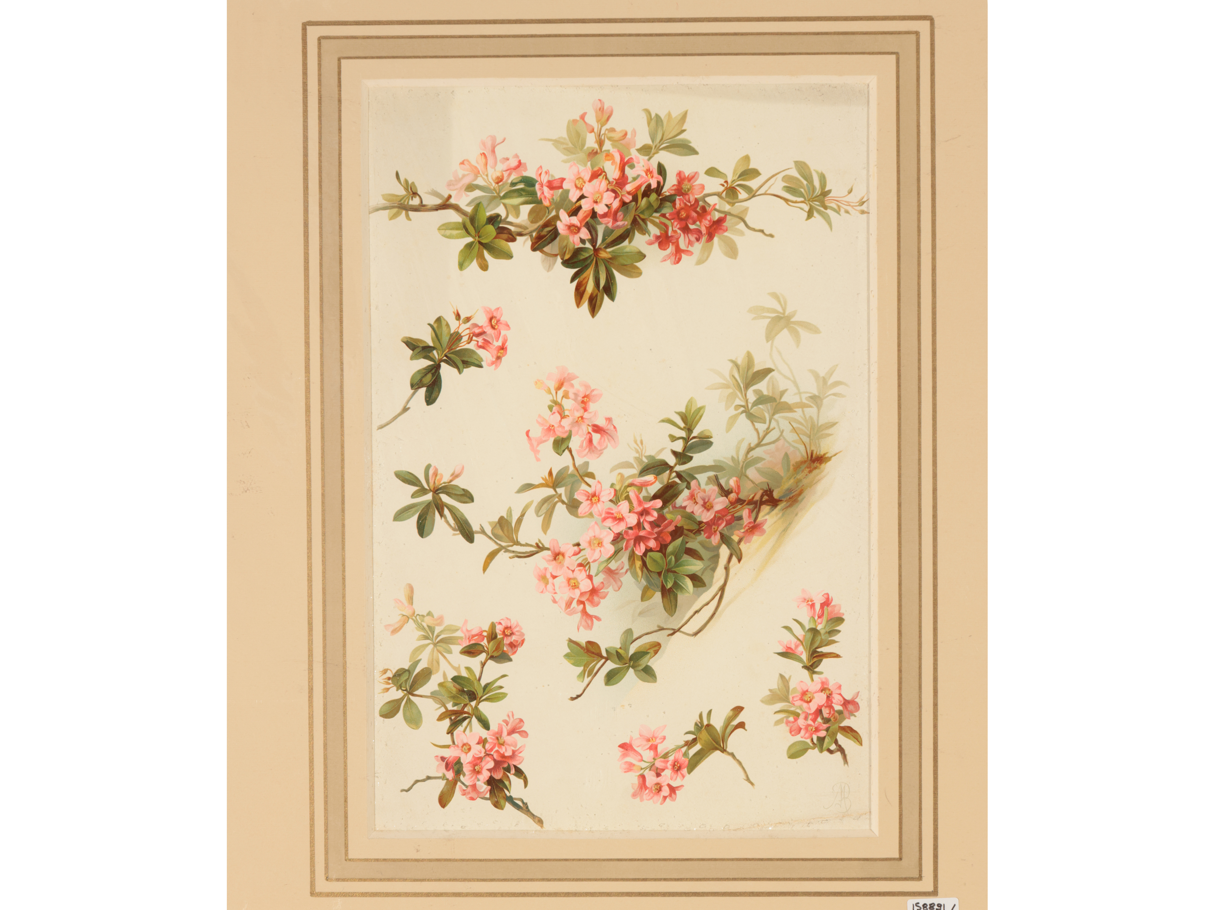 Fiori
