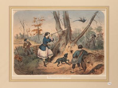 La Chasse Aux Faisans - Chasse Au LIèvre