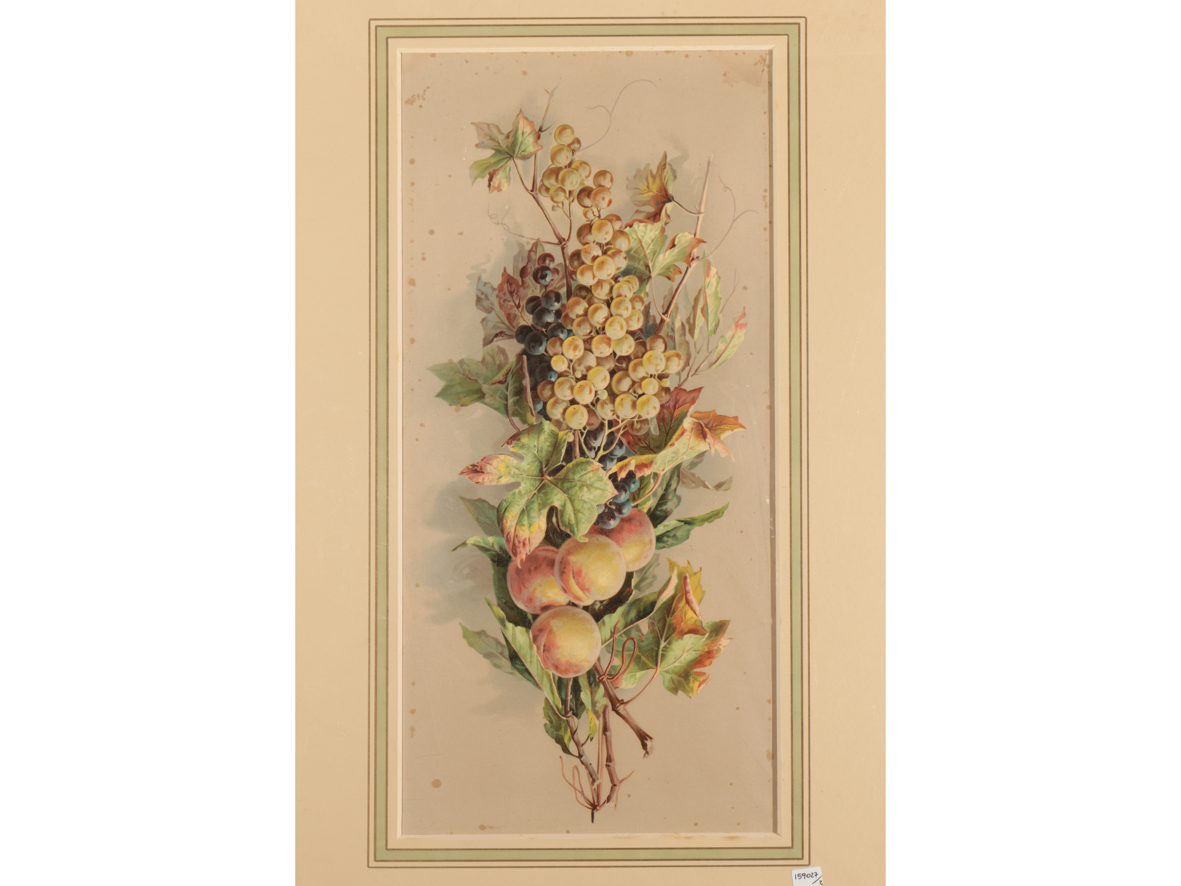 Nature Morte