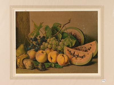 Nature Morte con Frutta